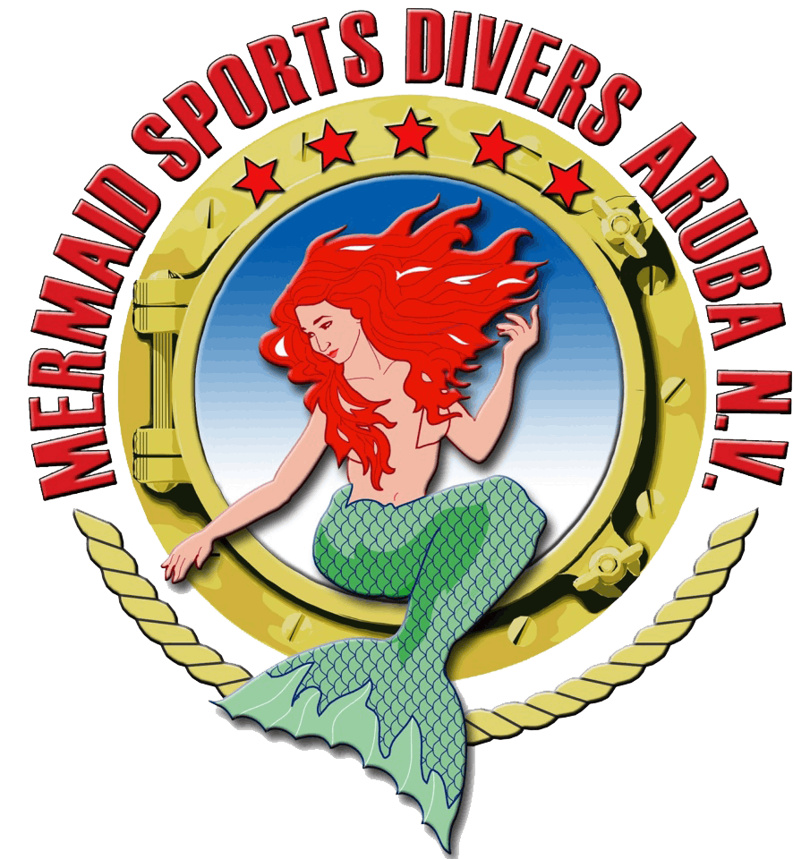 Mermaid Divers Aruba